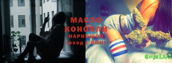 индика Богородск