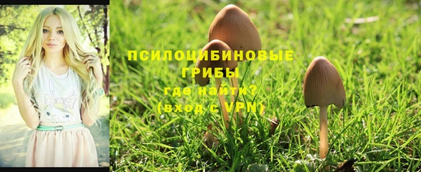 бутик Богородицк