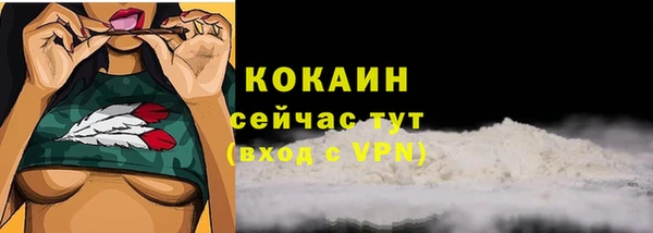 спайс Беломорск