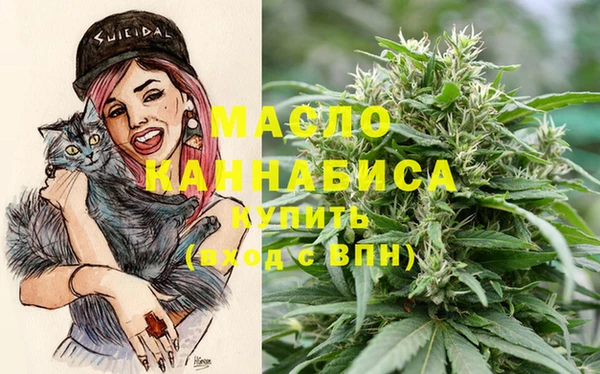 индика Богородск