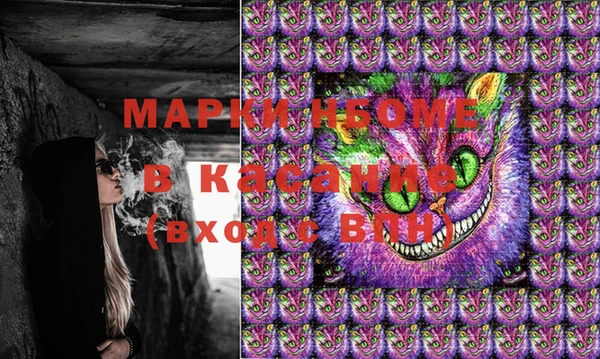индика Богородск