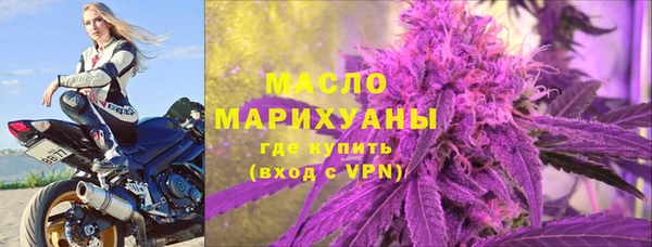 индика Богородск